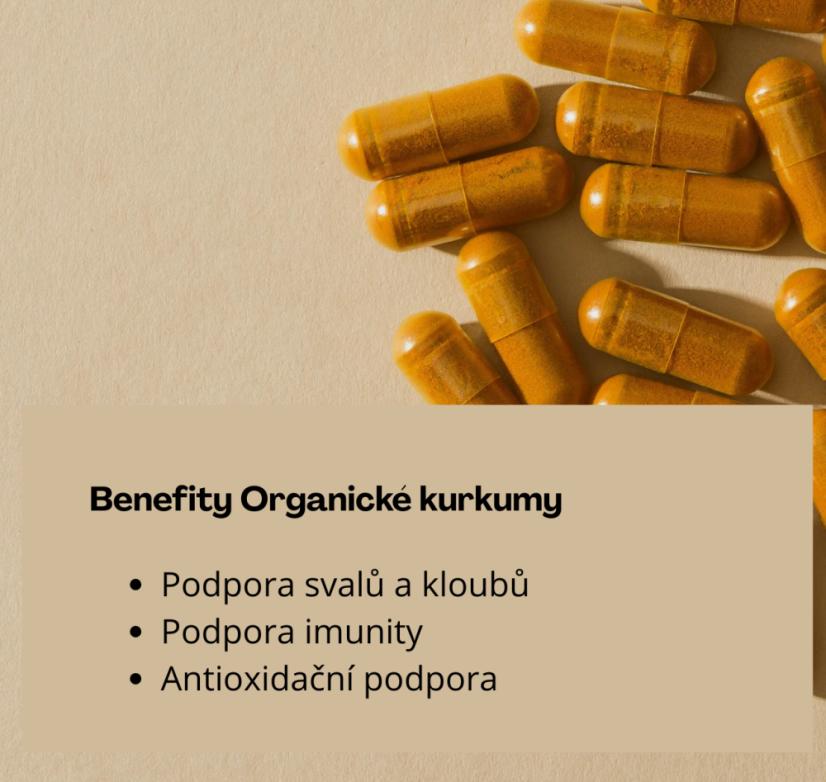 Kurkuma Organic Turmaforte™ Food-Grown® - Wild Nutrition