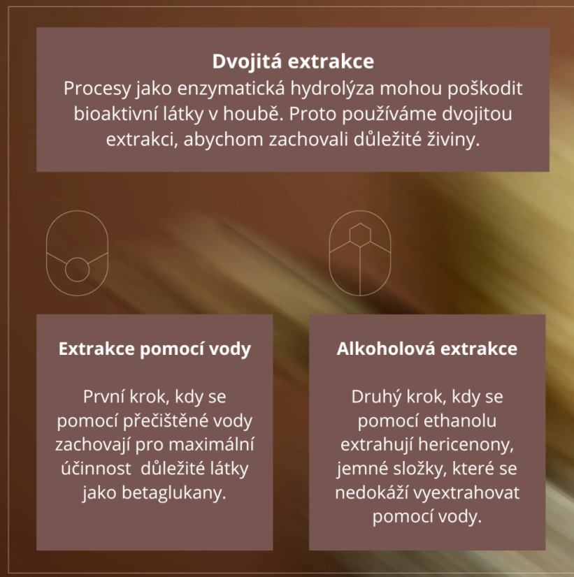 Lví hříva Plus - Wild Nutrition