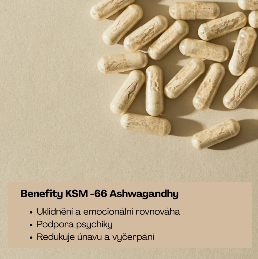 Ashwagandha Plus - Nové vylepšené složení - Wild Nutrition