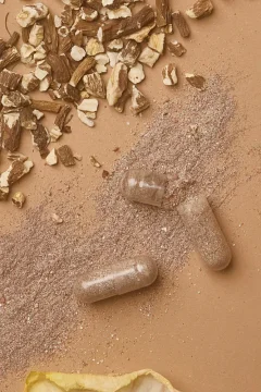 Vědecké studie Metabolaid®