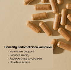 Endometrióza komplex ( Endo Support ) - Wild Nutrition