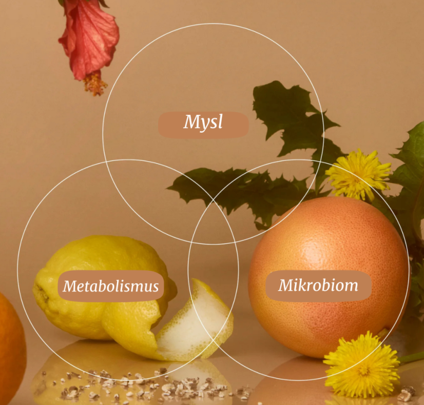 Metabolismus & Hubnutí - Wild Nutrition