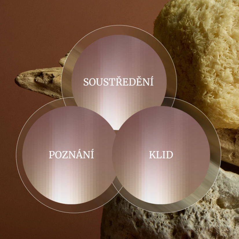 Lví hříva Plus - Wild Nutrition