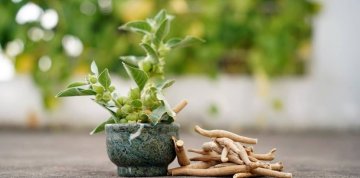 Ashwagandha, všestranný adaptogen