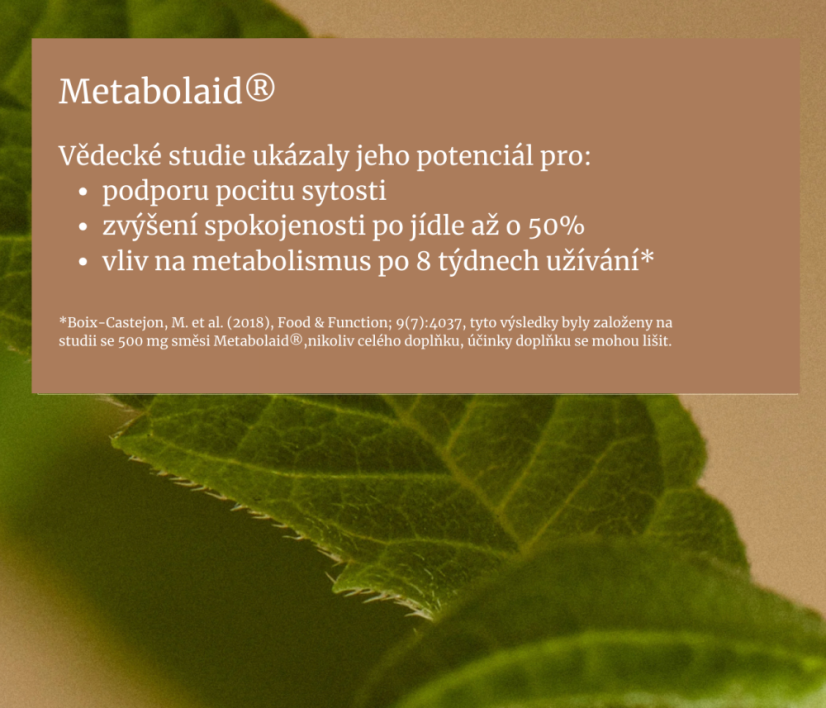 Metabolismus & Hubnutí - Wild Nutrition
