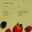 Vitamín D pro dospělé - gummies - Wild Nutrition